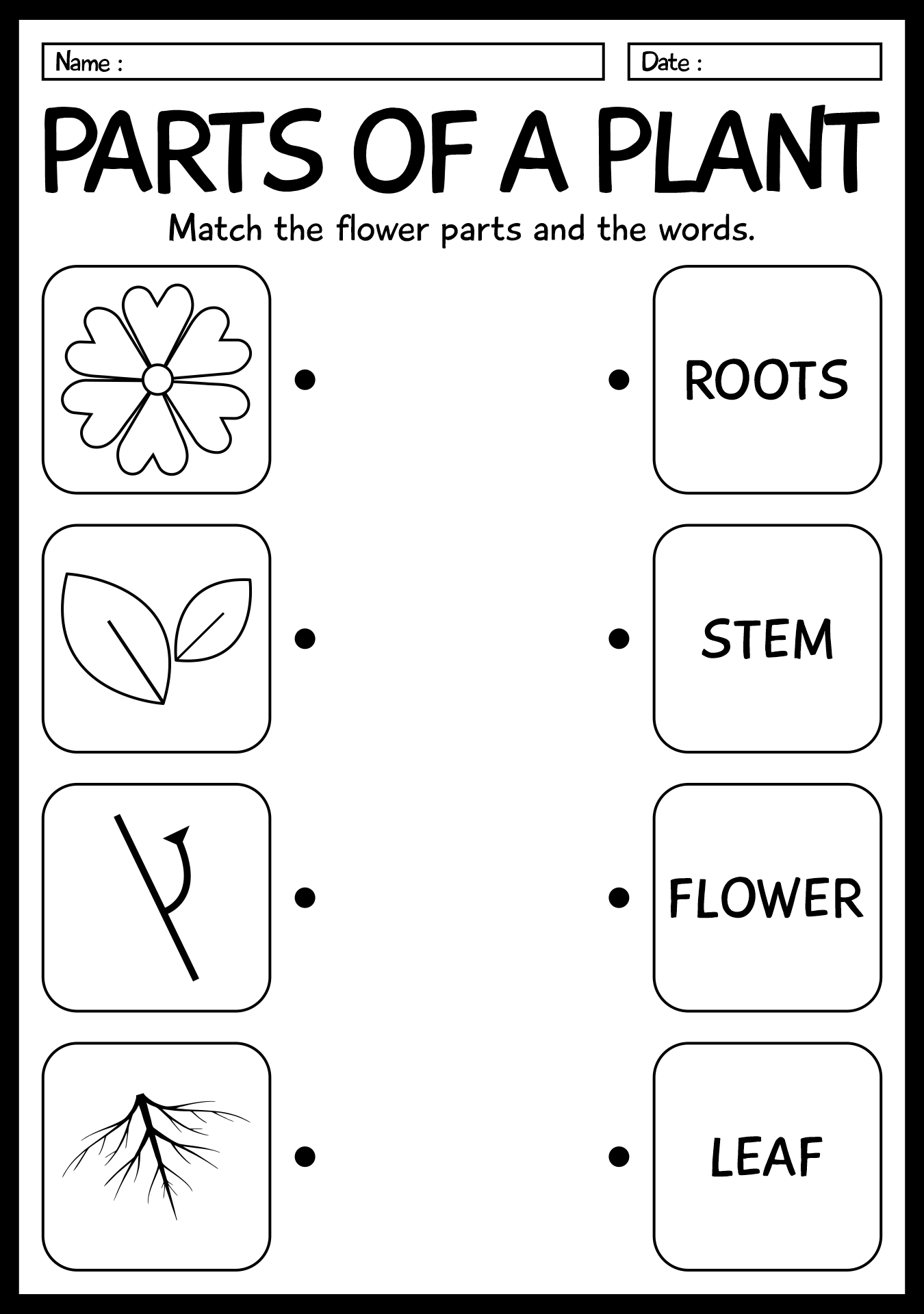 13 1st Grade Life Science Worksheets Free PDF At Worksheeto 13 1st Grade Life Science Worksheets Free PDF At Worksheeto