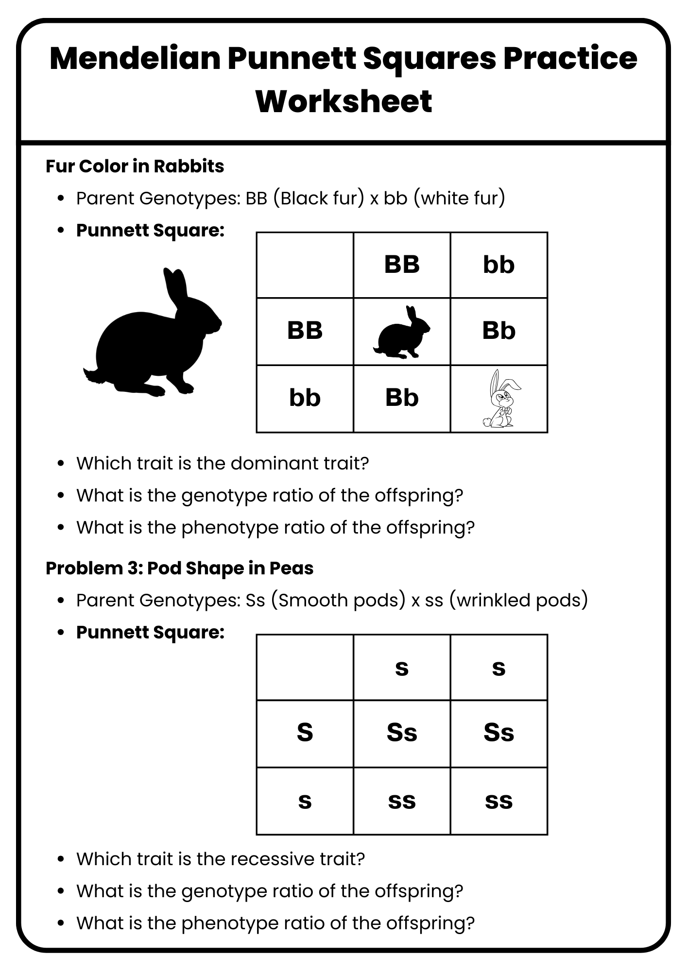 40 Punnett Square Practice Worksheet To Download In PDF 9 Hands On Worksheet Punnett Square Worksheet The Teach Simple Blog