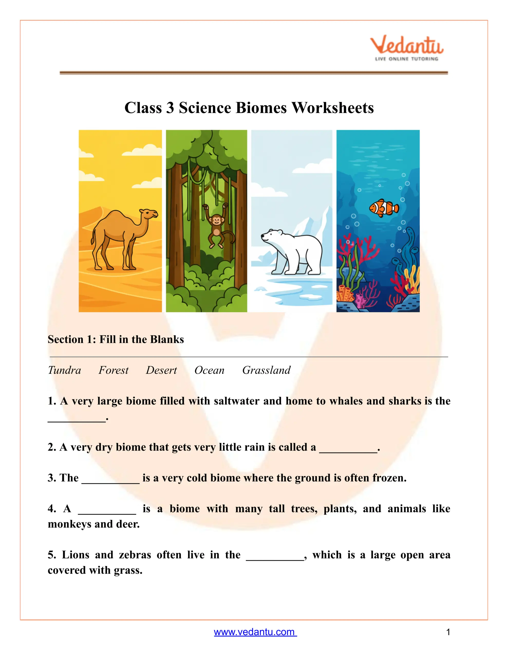 18 Soil Worksheets For 3rd Grade