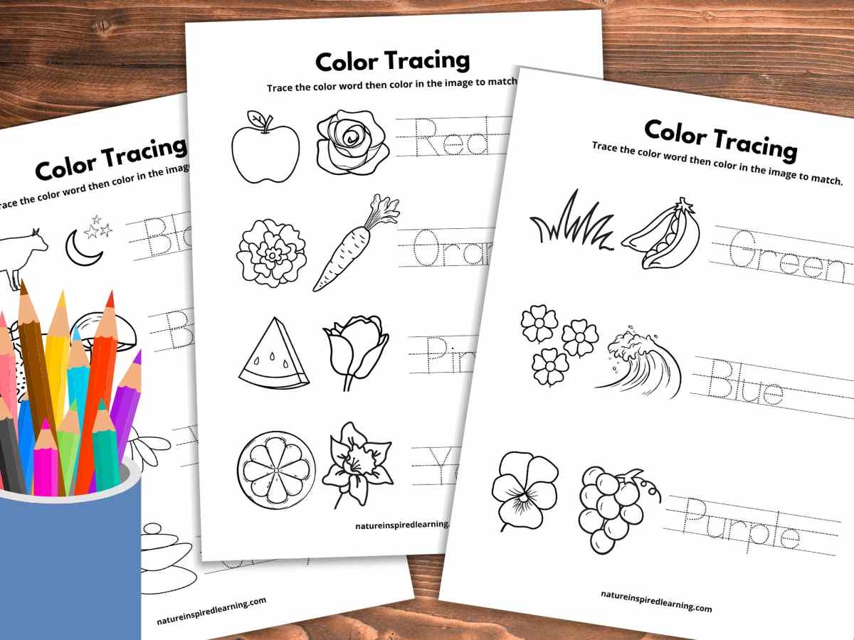 Color Tracing Worksheets Nature Inspired Learning Color Activities Printables And Worksheets Identifying Colors Made By Teachers
