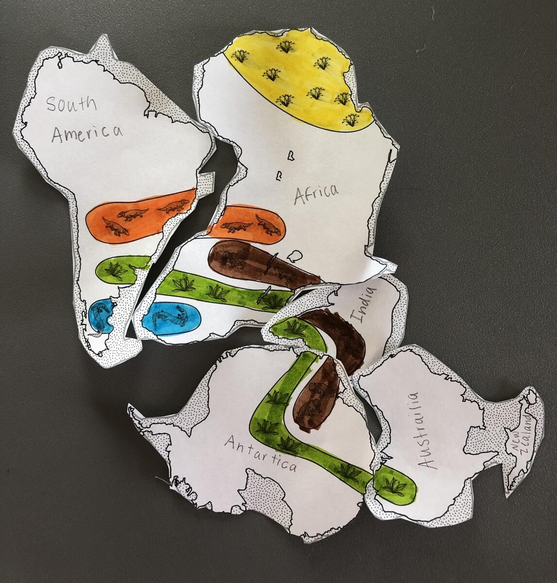 Continental Drift Pangea Puzzle Activity Middle School Science Lessons