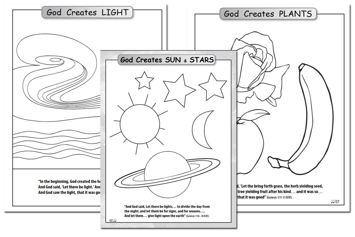 Days Of Creation Coloring Book Free DIY Homeschooler Days Of Creation Coloring Book Free DIY Homeschooler