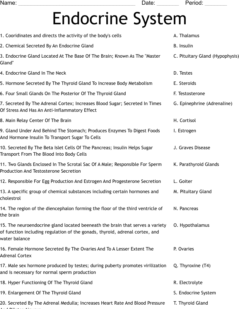 Endocrine System Worksheet WordMint Endocrine System Worksheet WordMint