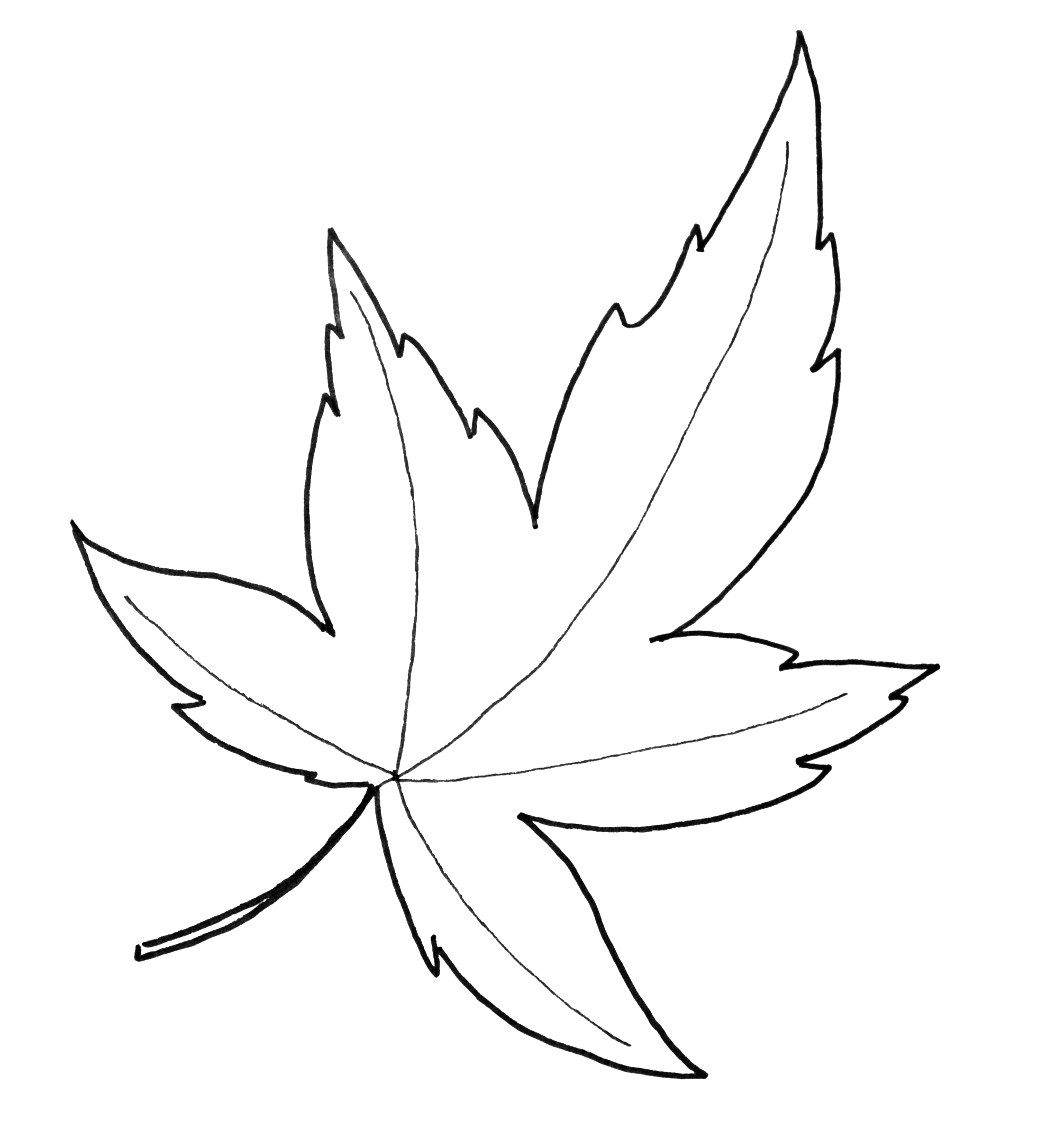 Fall Leaves Vector Graphic Large Fall Leaves Printable 1855x1215 Png Clipart Download