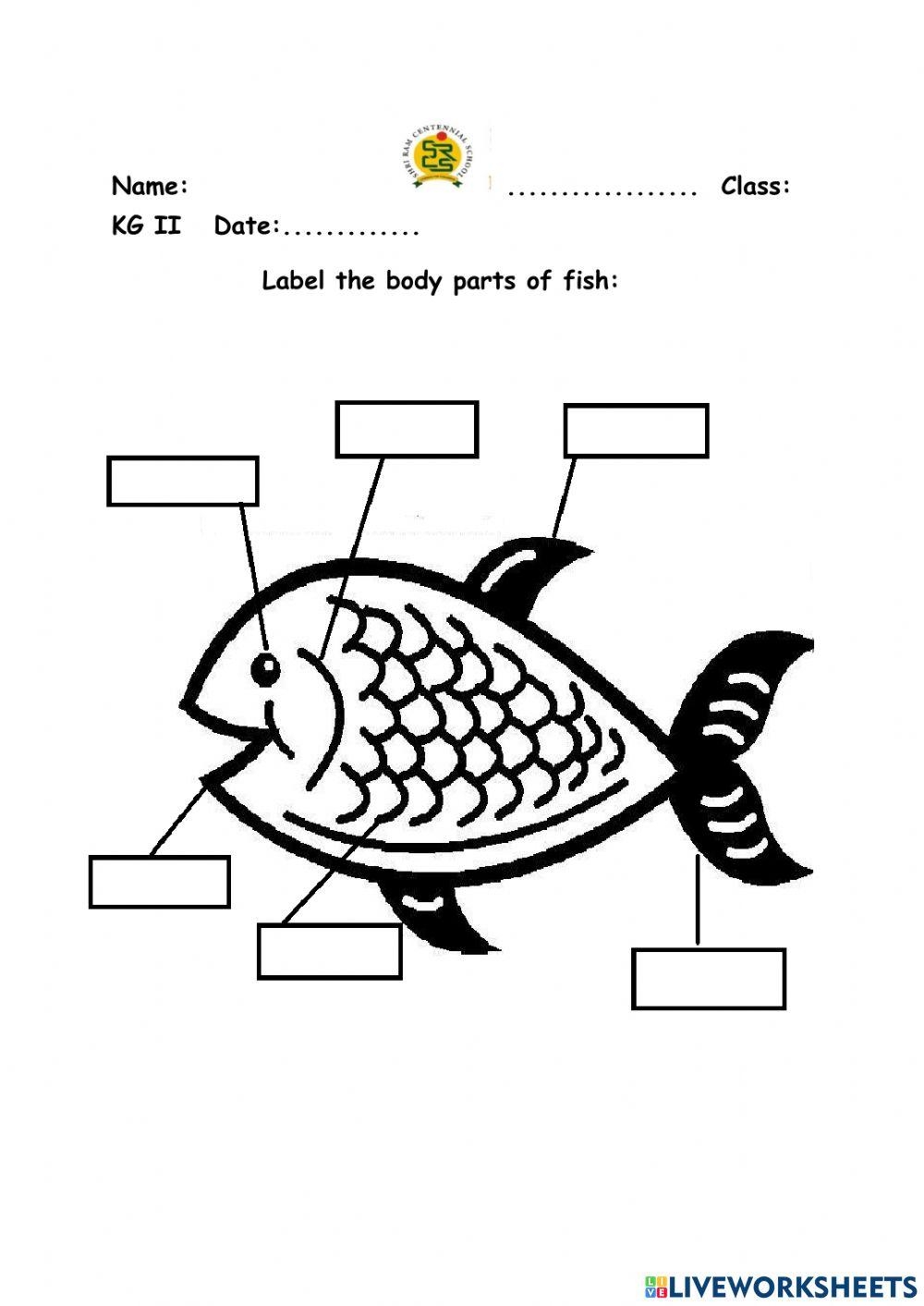 Fish Body Parts Kanika Verma Worksheets Library