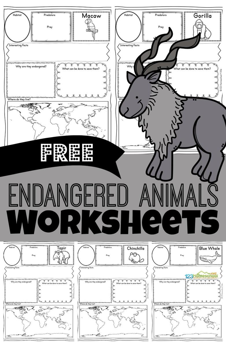 FREE Printable FREE Printable Endangered Animals Worksheets FREE Printable FREE Printable Endangered Animals Worksheets