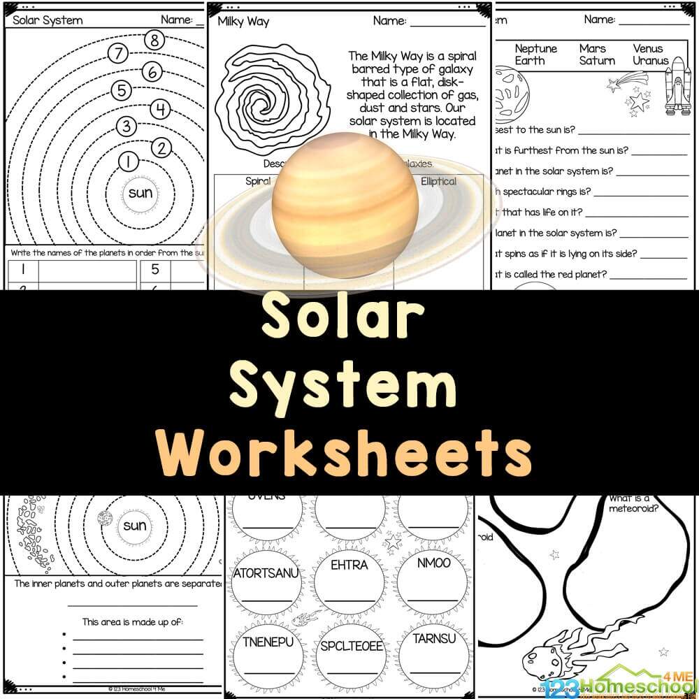 Free Science Worksheets The Nervous System Adanna Dill