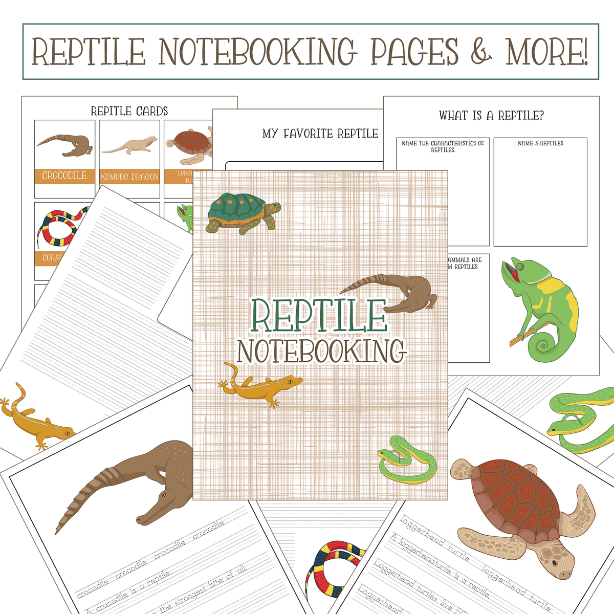 Free Reptiles Worksheets Kids Love With Printables Free Reptiles Worksheets Kids Love With Printables