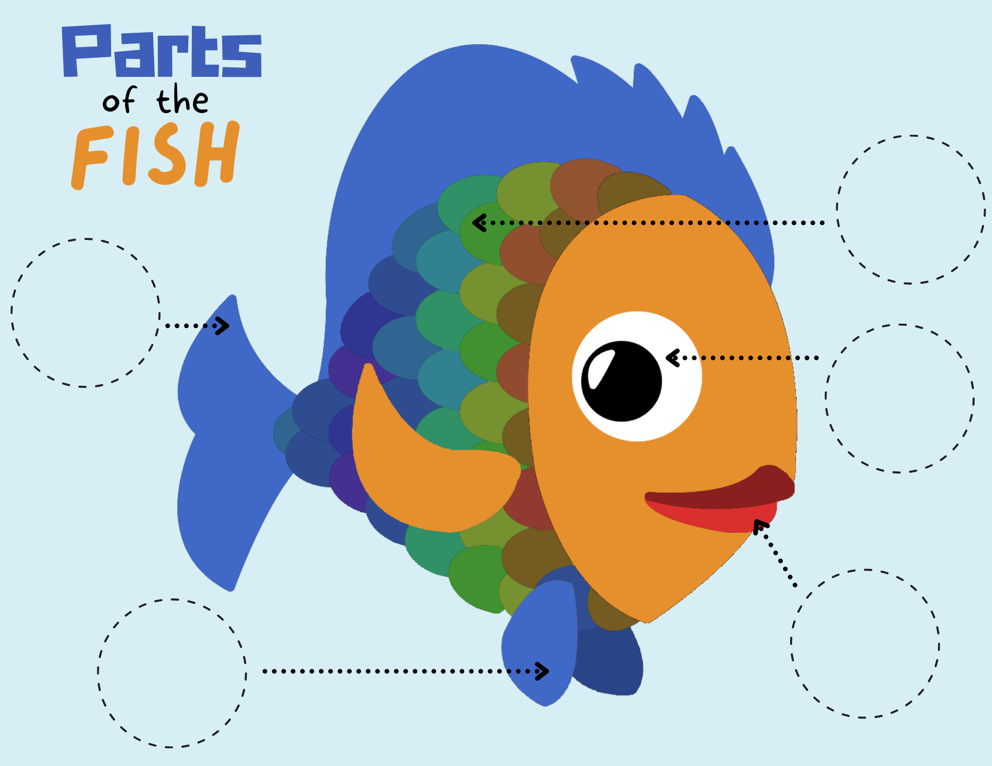 Fun And Colourful Parts Of A Fish Activity Sheets Thrifty Mommas Tips