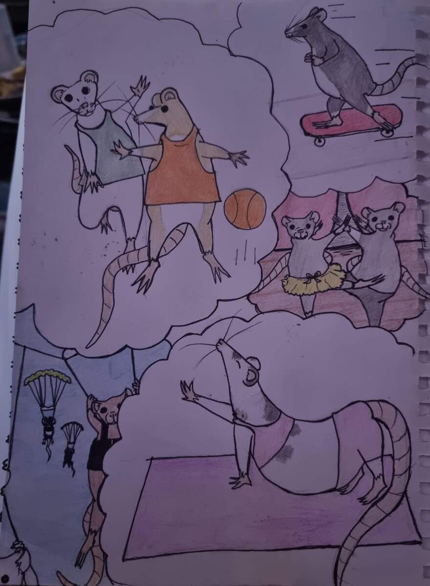 Got Bored And Drew Rattos Doing Human Activities R RATS