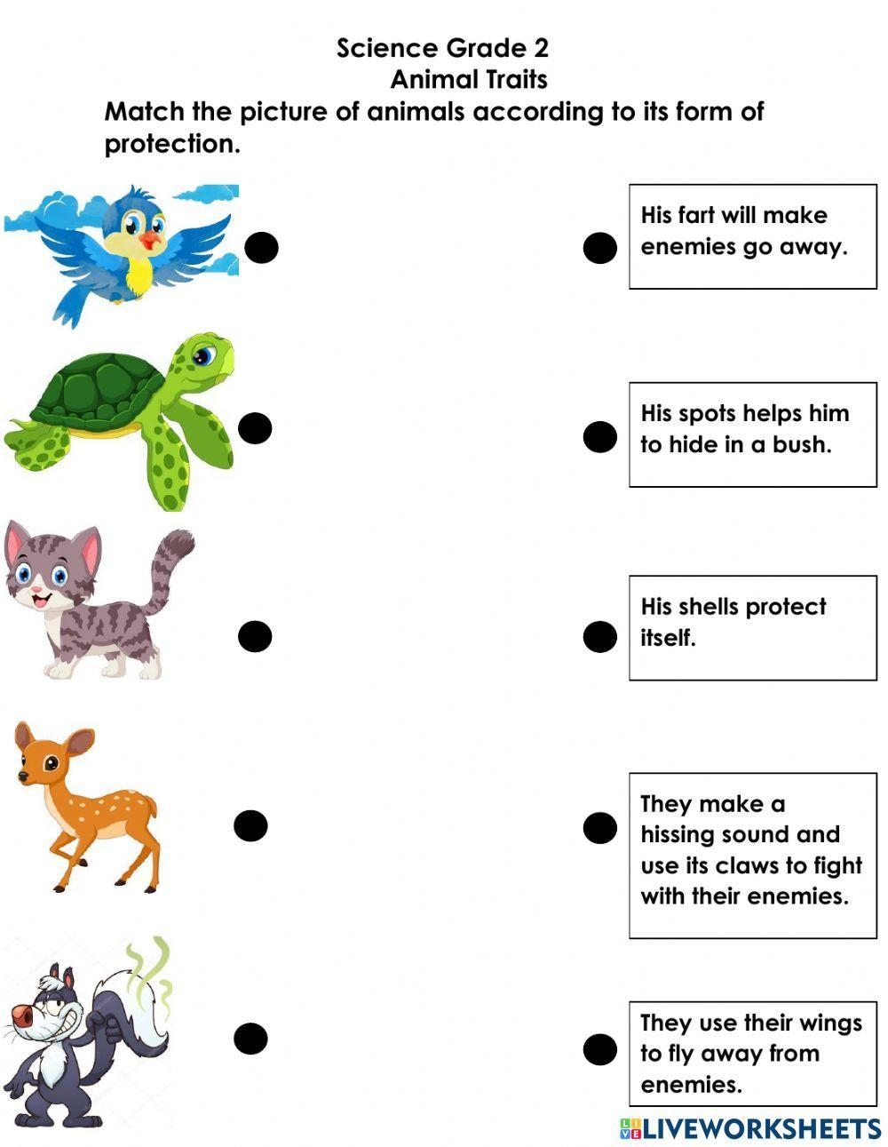 Grade 2 Animal Traits Activity Worksheet Worksheets Library Grade 2 Animal Traits Activity Worksheet Worksheets Library