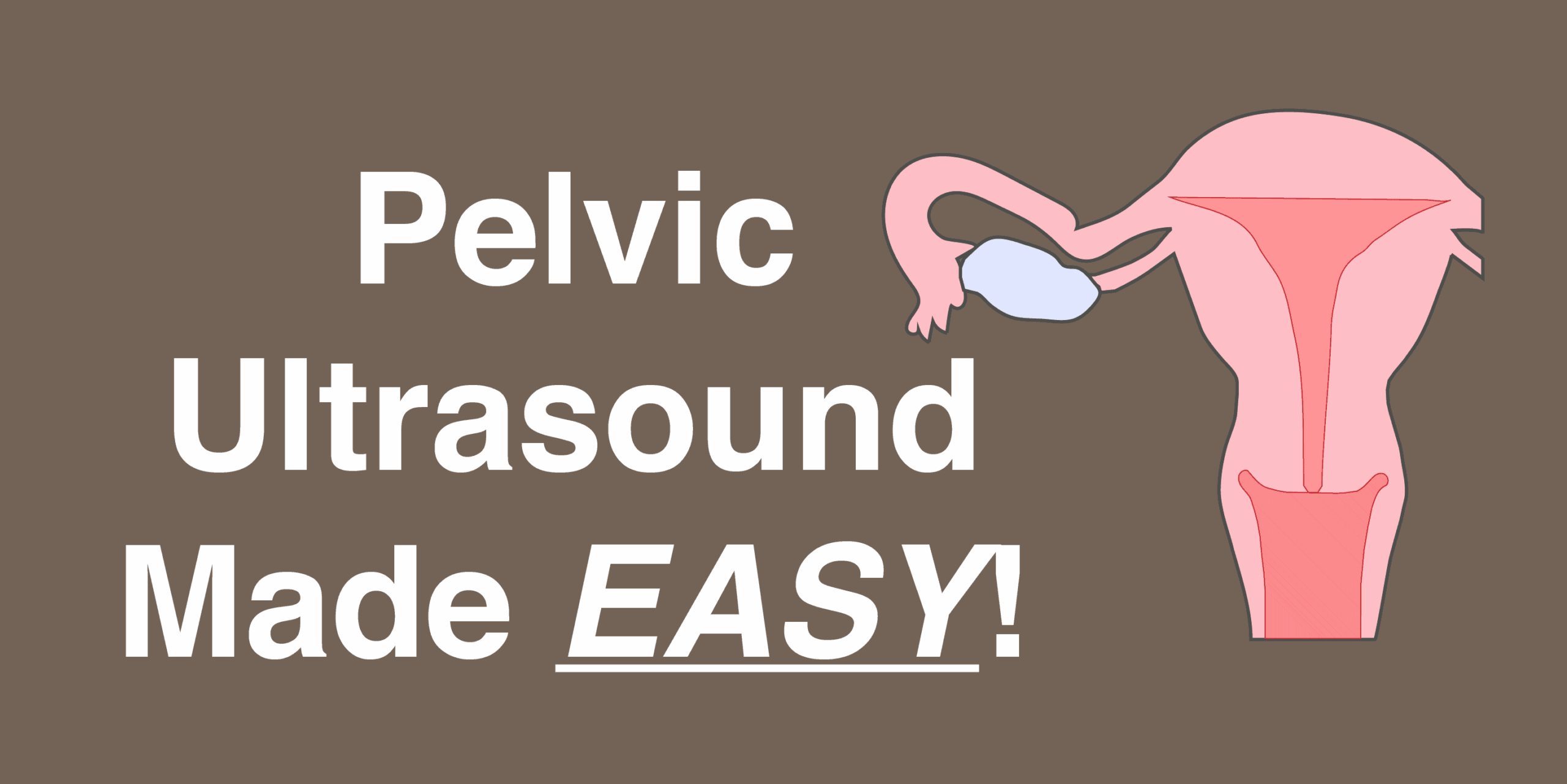 Gynecology Pelvic Ultrasound Made Easy Step By Step Guide POCUS 101 Gynecology Pelvic Ultrasound Made Easy Step By Step Guide POCUS 101