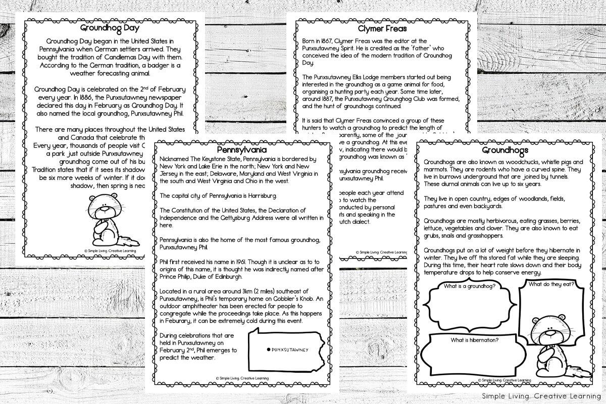 History Of A Groundhog Worksheets Simple Living Creative Learning History Of A Groundhog Worksheets Simple Living Creative Learning