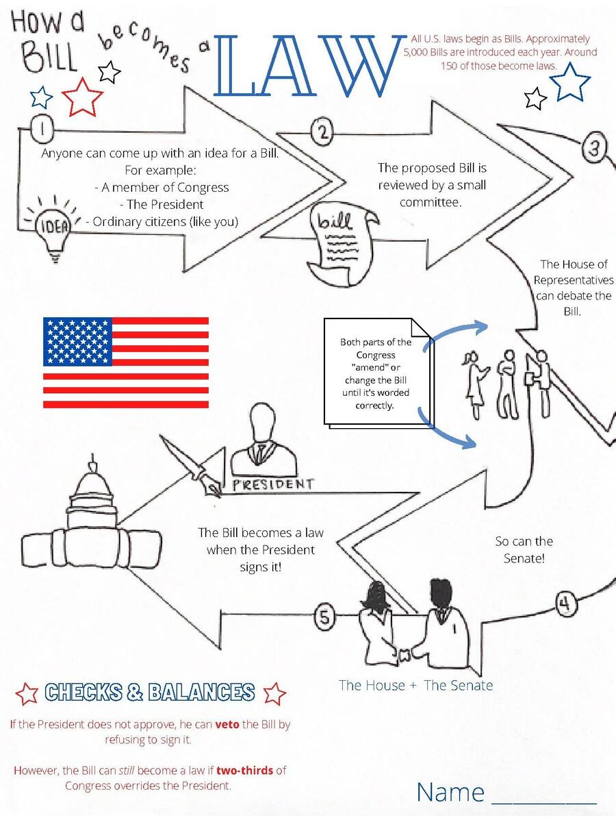 How A Bill Becomes A Law Handout By Jazmine Hamm TPT