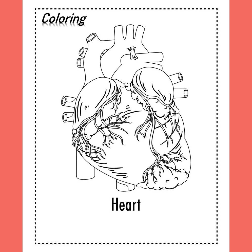 Human Anatomy Coloring Book 32 Illustrations 32 Coloring Pages 100 Facts About Human Body Made By Teachers Human Anatomy Coloring Book 32 Illustrations 32 Coloring Pages 100 Facts About Human Body Made By Teachers