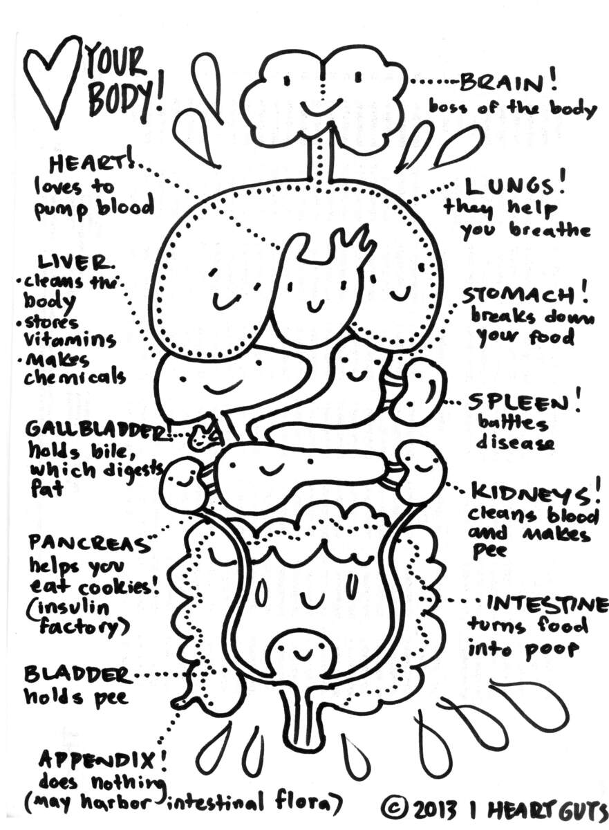 Human Body Coloring Pages Anatomy Physiology Coloring Book Scientific Publishing