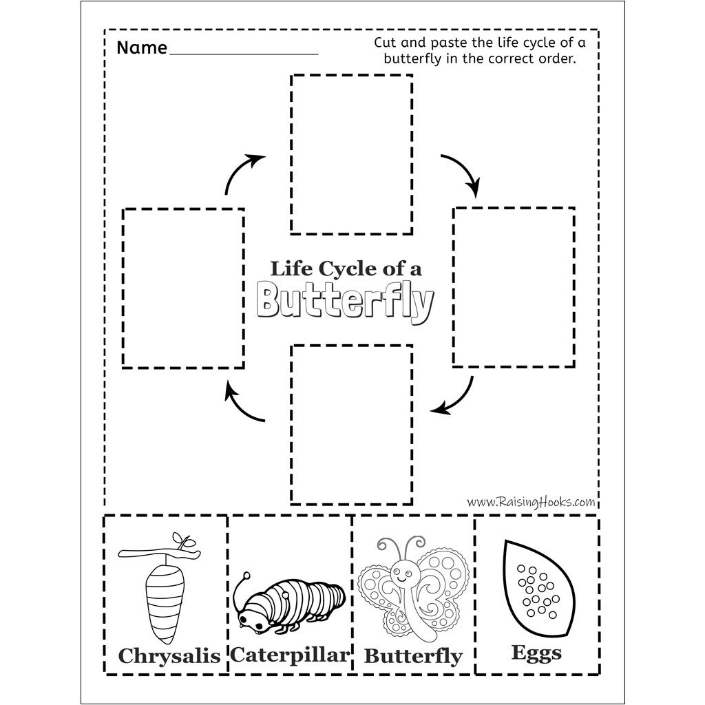 Life Cycle Of A Butterfly Cut And Paste Raising Hooks Free Butterfly Life Cycle Printable Fun A Day