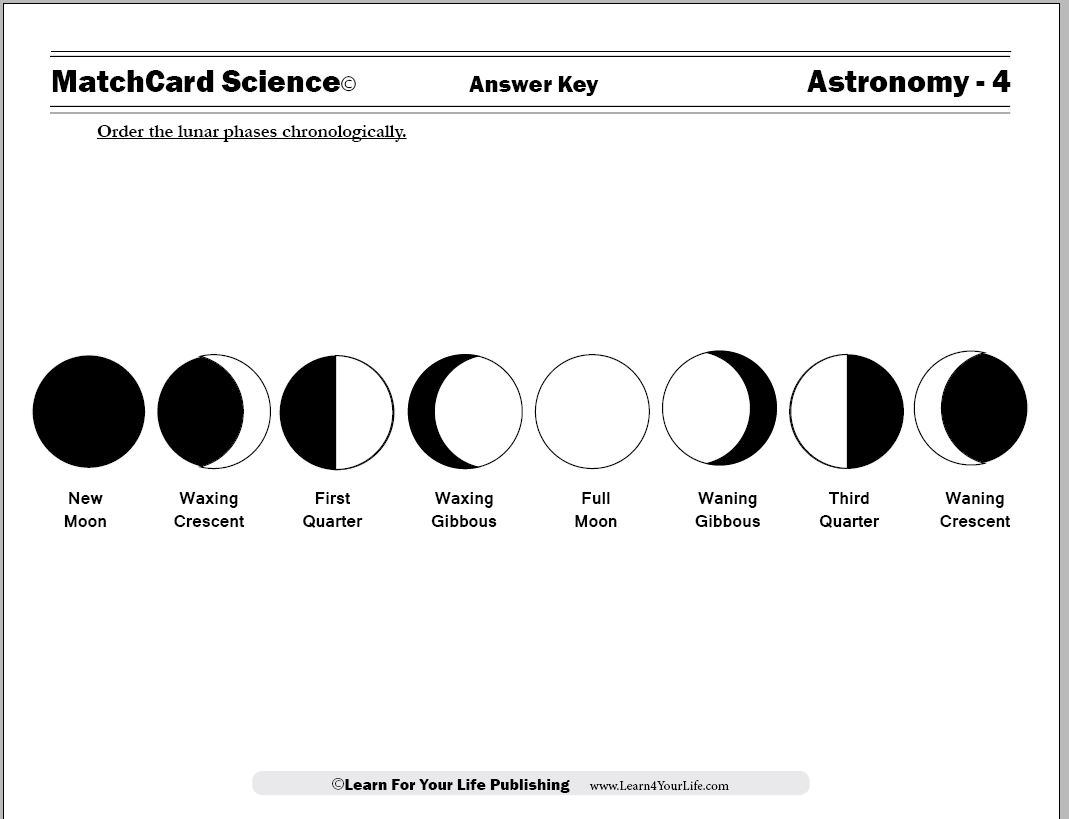 Moon Cycle Worksheets Library