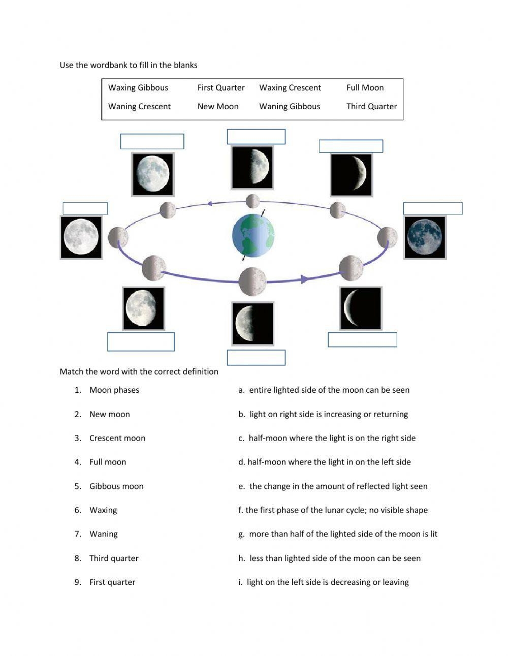 4 Phases Of The Moon Worksheets And Activities Students Love