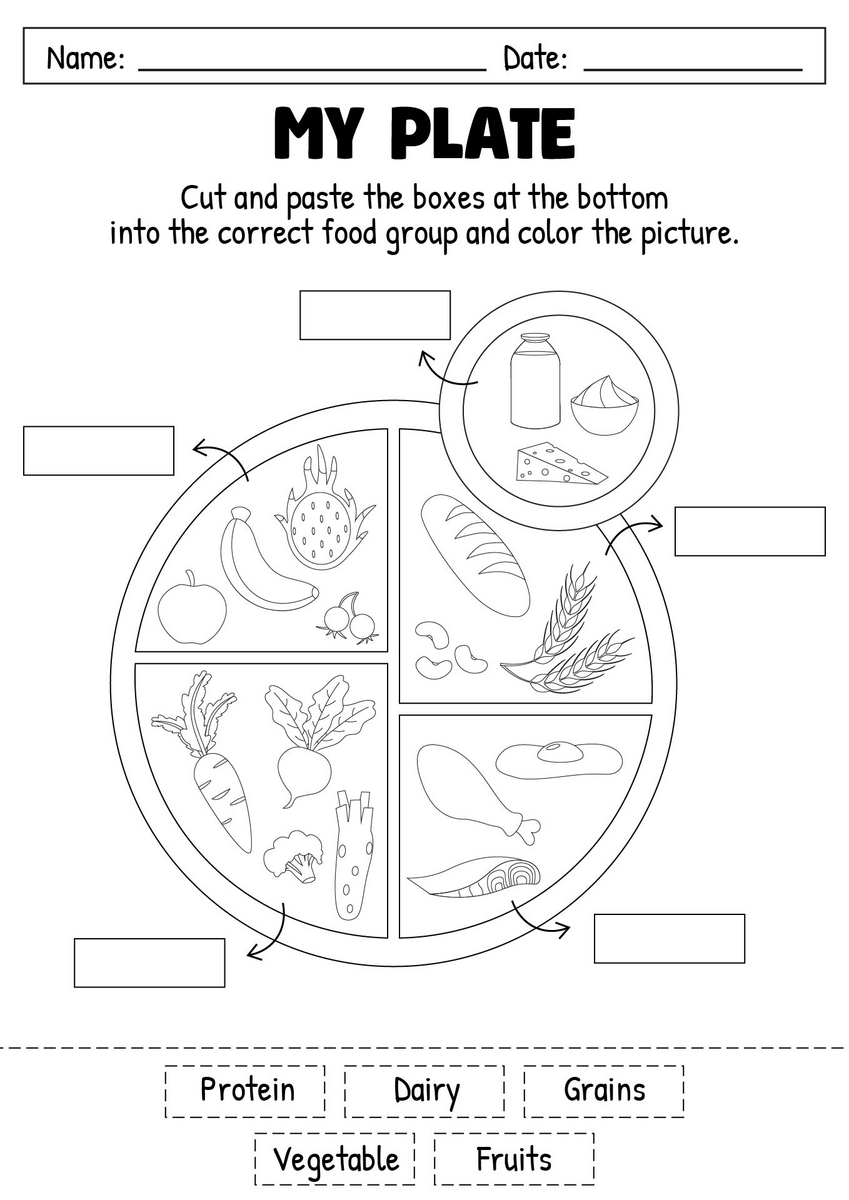 15 5 Food Groups Worksheet Free PDF At Worksheeto
