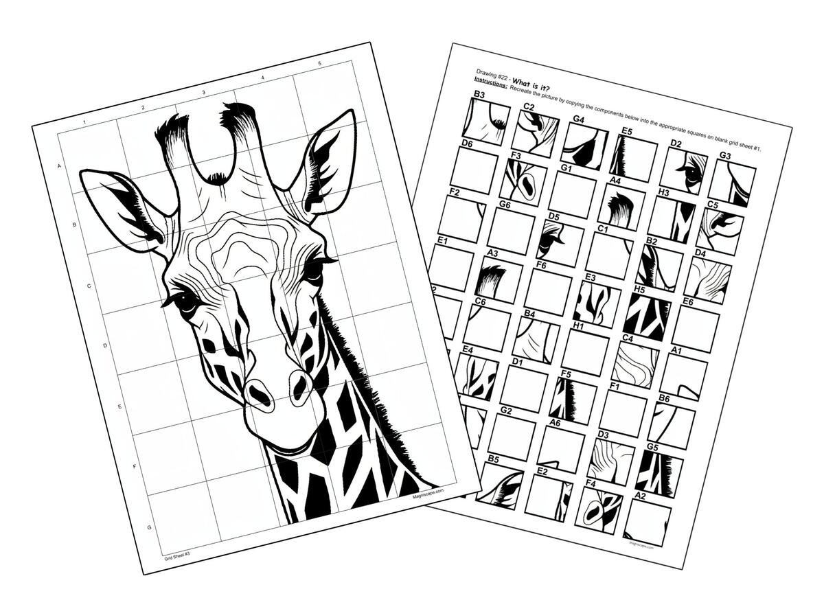 Mystery Grid Drawing Puzzles Volume 1 Magniscape Mystery Grid Drawing Worksheets Tiger Art Worksheets Art Worksheets Library