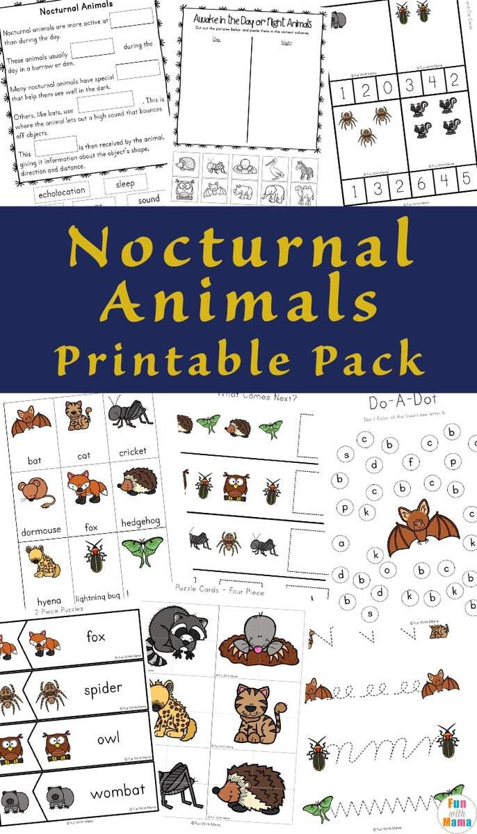 Nocturnal Animals For Kids Fun With Mama Nocturnal Animals For Kids Fun With Mama