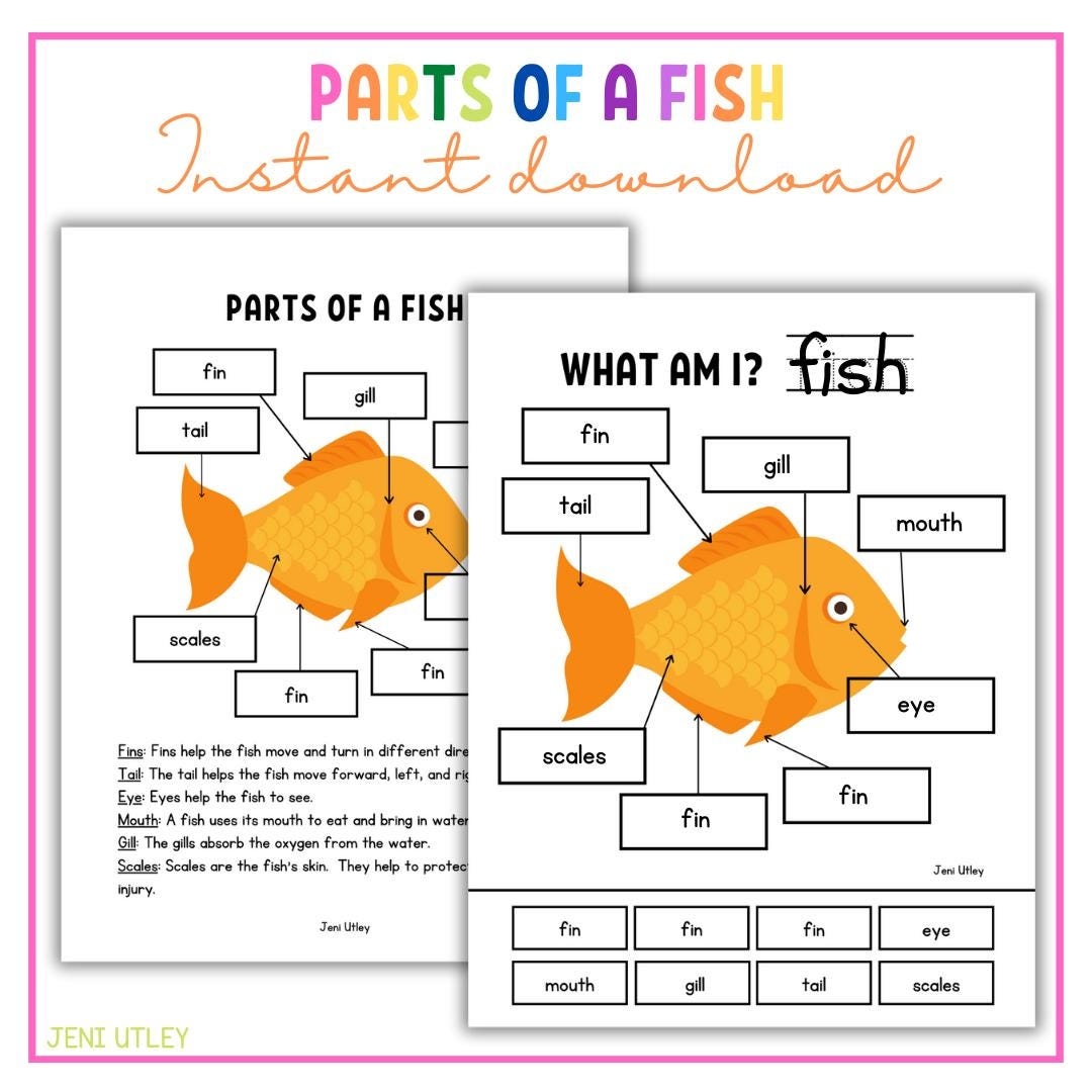 Parts Of A Fish Preschool Science Etsy