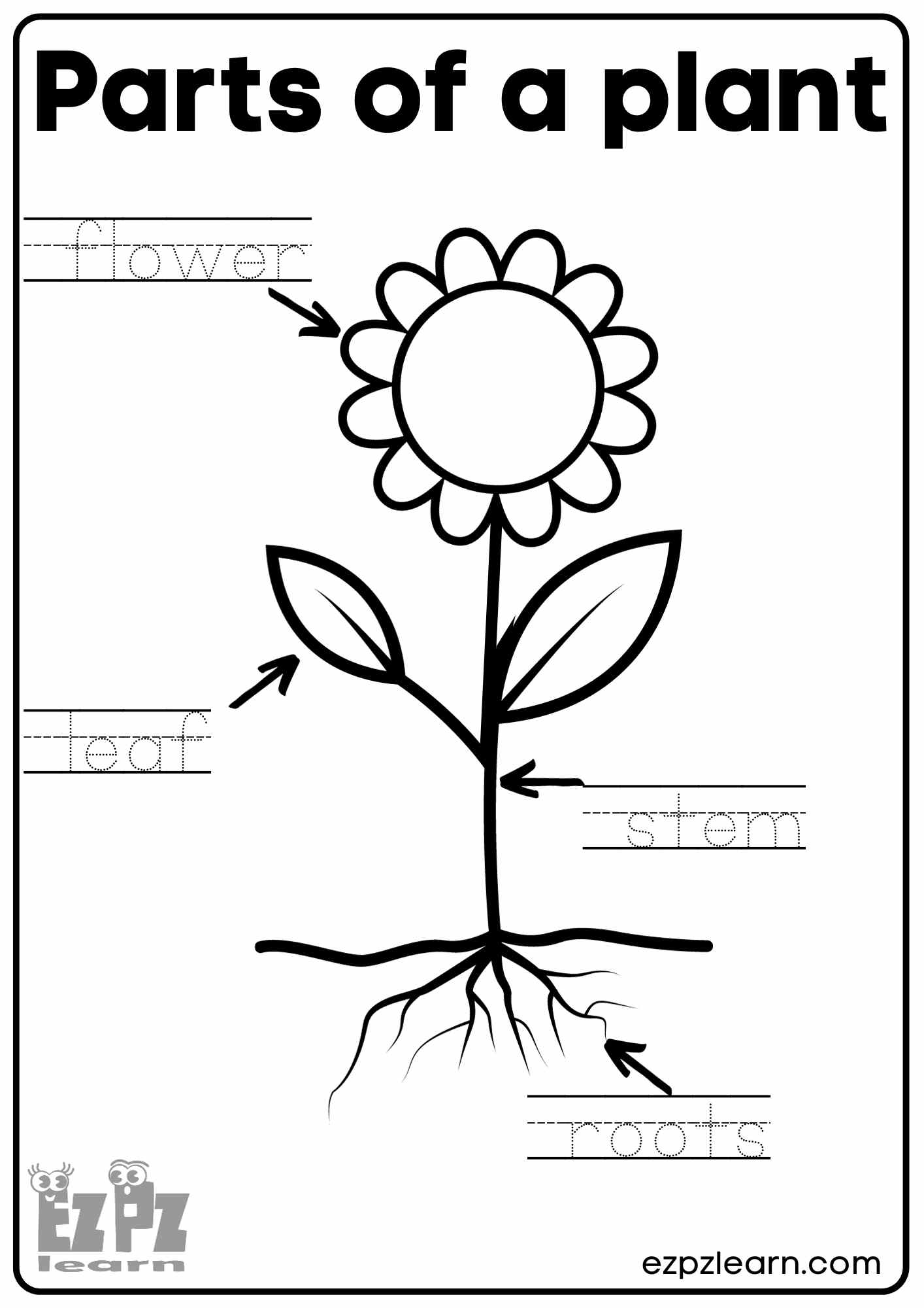 Parts Of A Plant Vocabulary Worksheet Write The Words And Color The Flower Activity For Kindergarten K5 And ESL Students Free Printable PDF Download Ezpzlearn Printable Activities Parts Of A Plant Worksheet For Kindergarten Made By Teachers