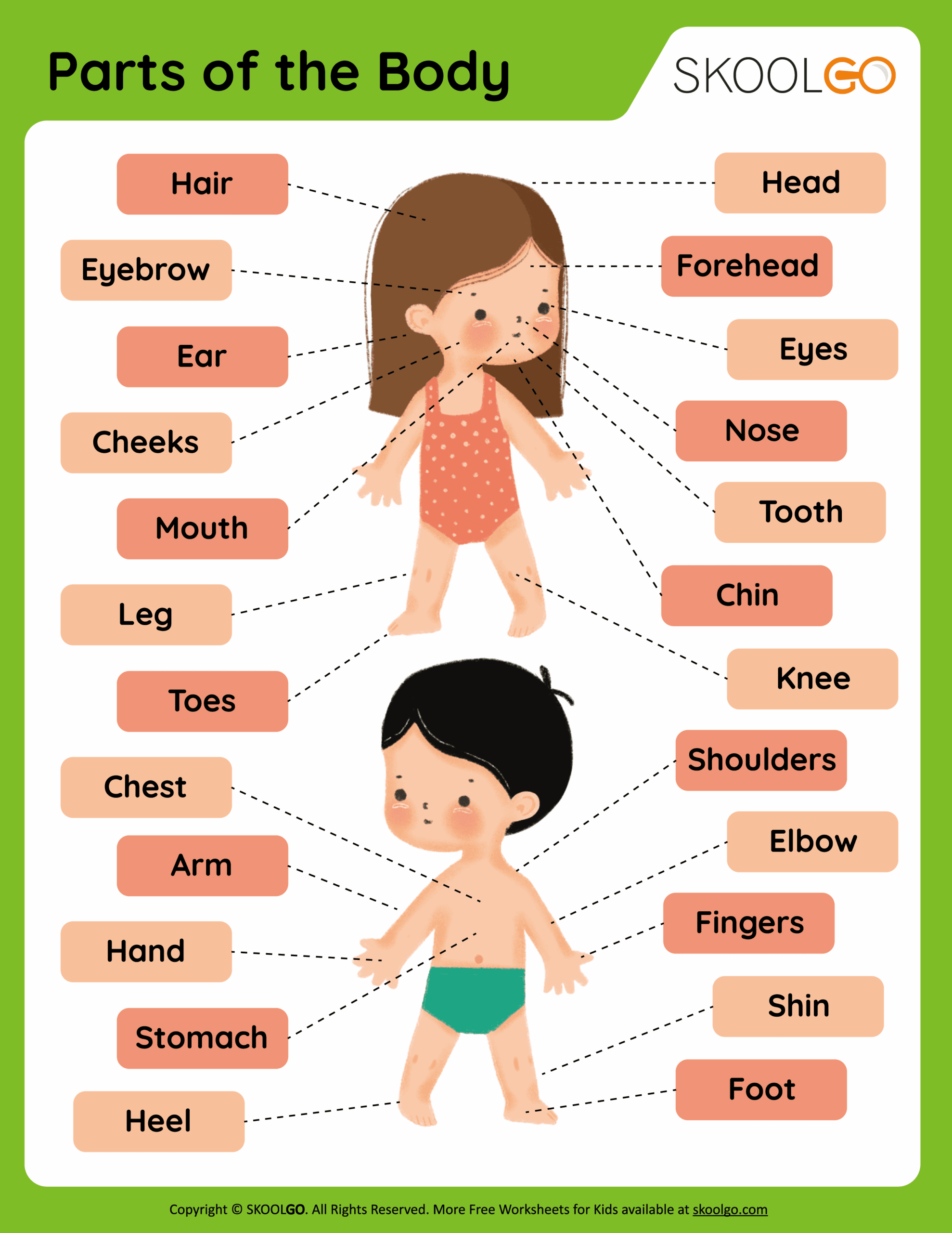 My Body Activities For Tots Preschoolers W Free Printables Every Star Is Different
