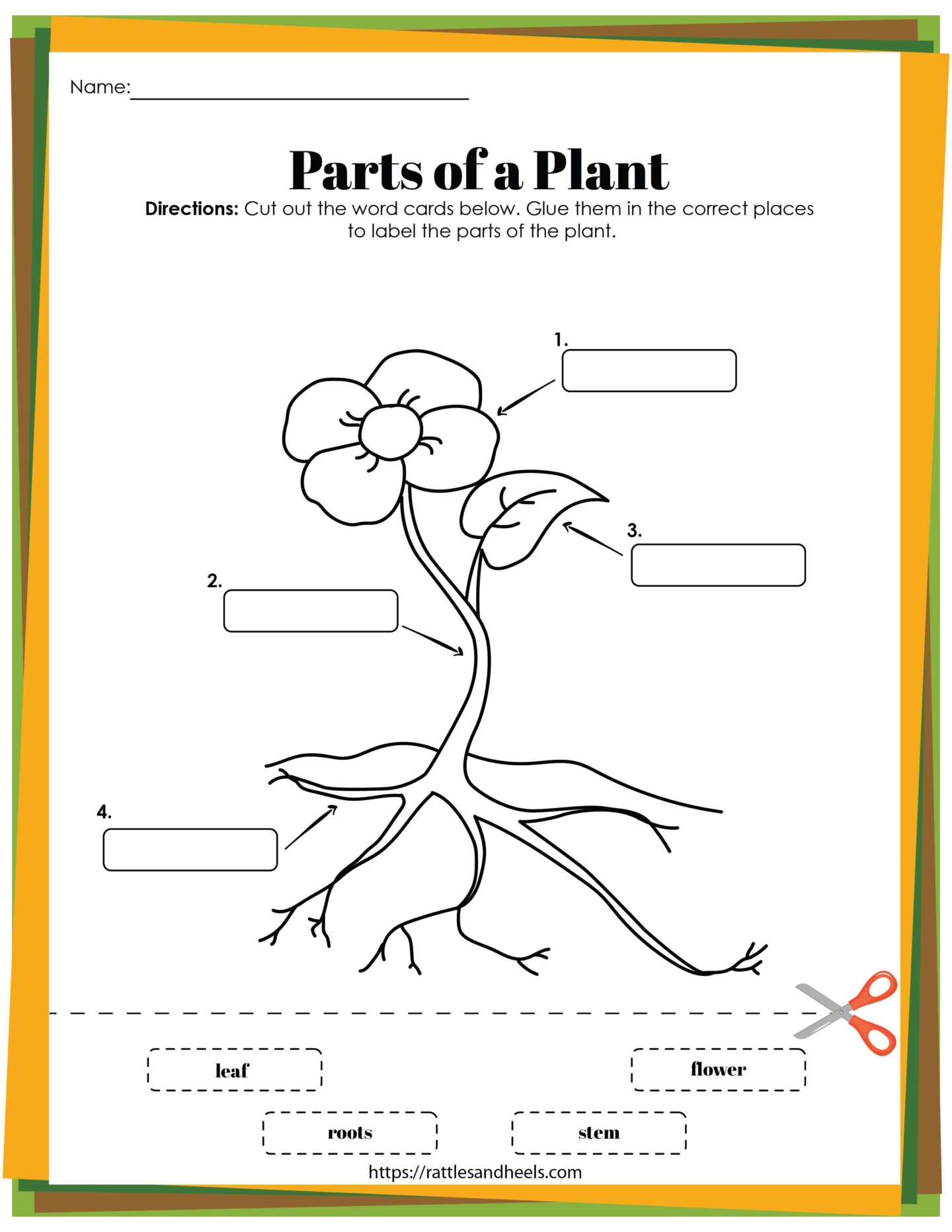 Parts Of A Plant Vocabulary Worksheet Write The Words And Color The Flower Activity For Kindergarten K5 And ESL Students Free Printable PDF Download Ezpzlearn