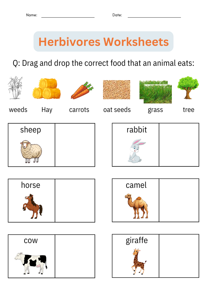 Printable Animal Classification Herbivores Worksheets Activities For Grade 1 Made By Teachers