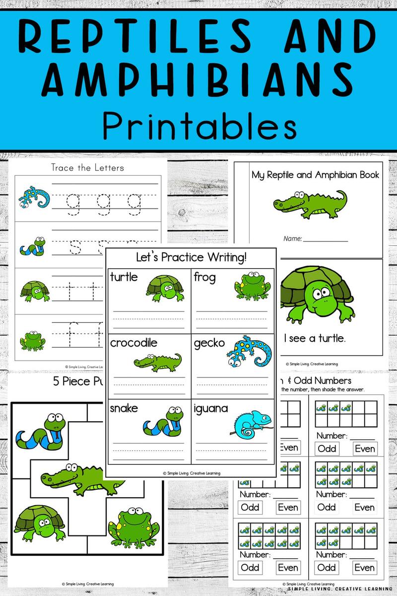 Reptiles And Amphibians Printables Simple Living Creative Learning
