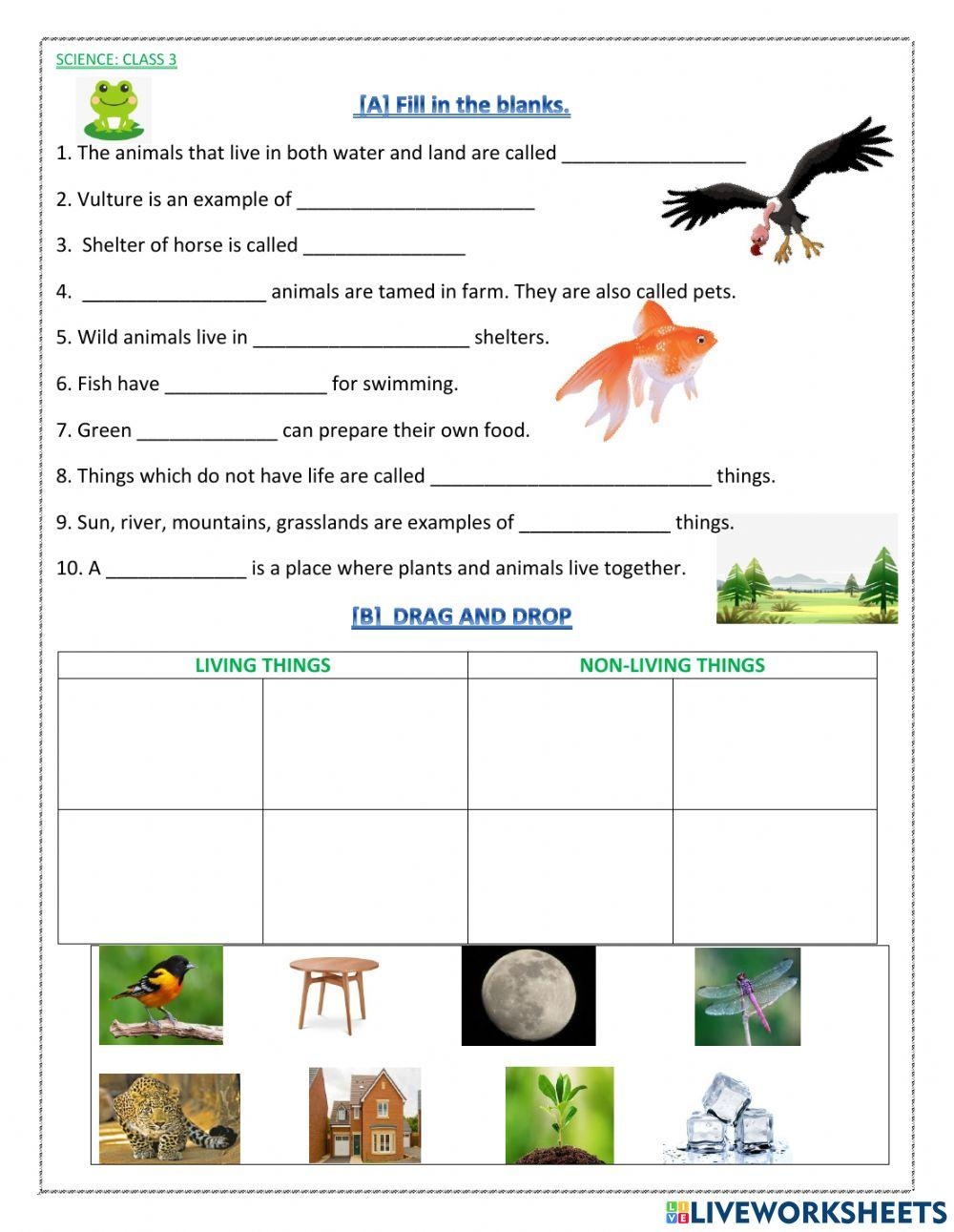 Science Class 3 1st W S Worksheet Worksheets Library Science Class 3 1st W S Worksheet Worksheets Library