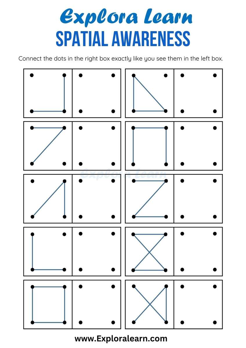 Spatial Awareness Activity Spatial Awareness Activity